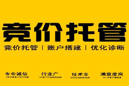行业领先企业如何通过SEM运营托管实现转化率翻倍